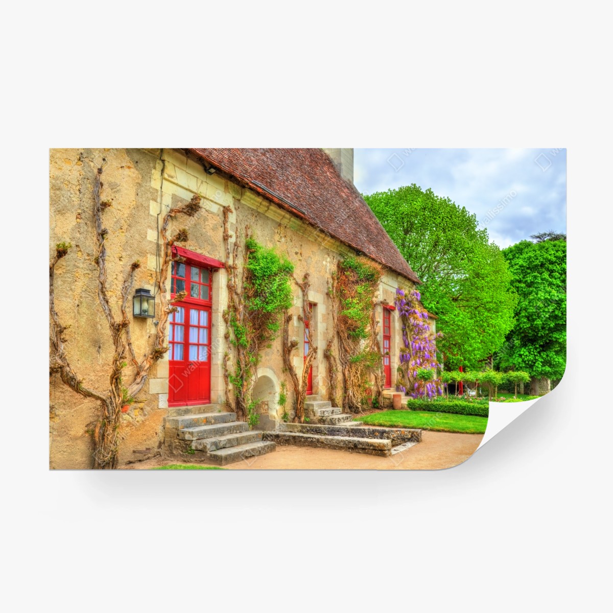 Fototapete reizendes landhaus mit blühender glyzinie – Wallnifity®