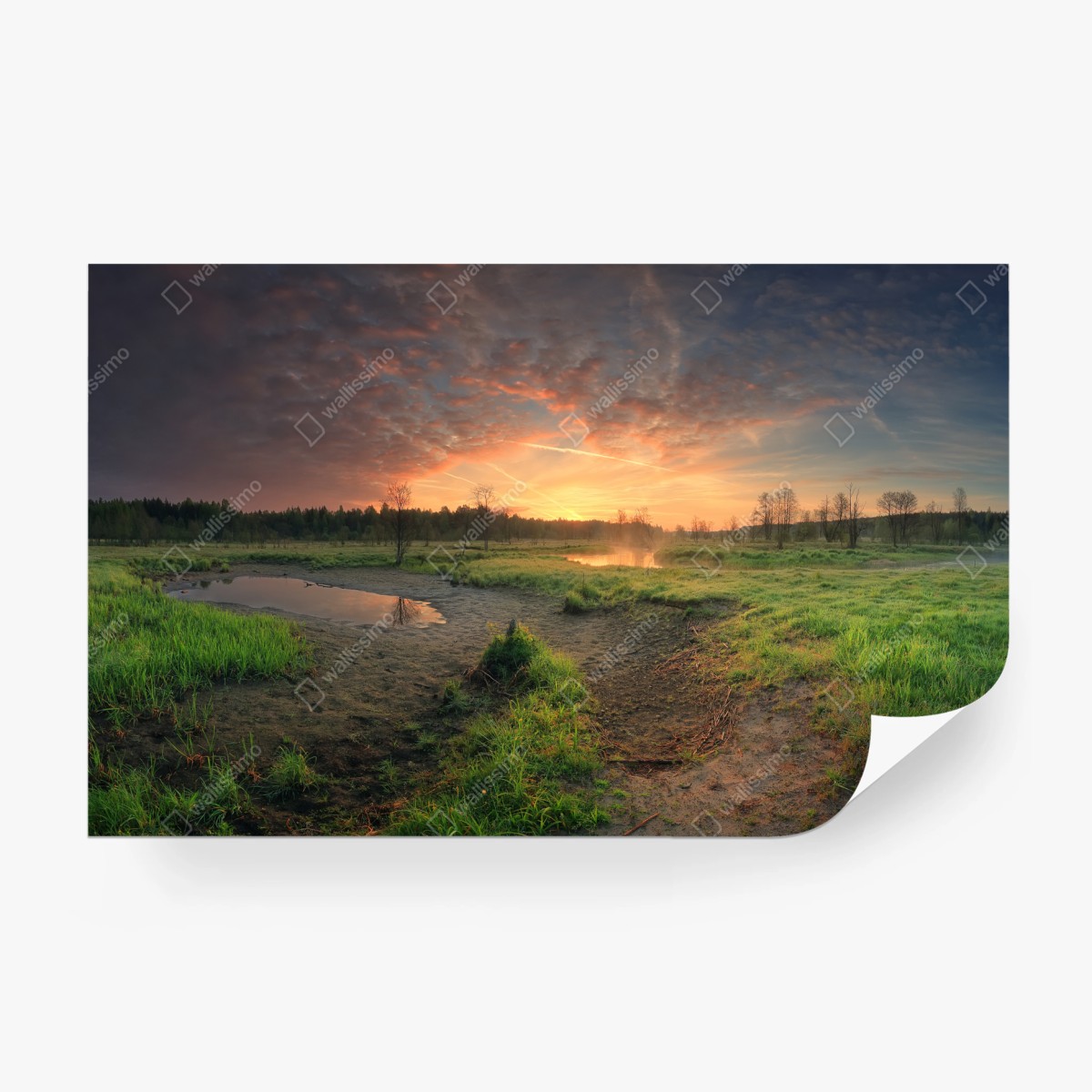 Fototapete sonnenuntergang über einer ruhigen wiese – Wallnifity®