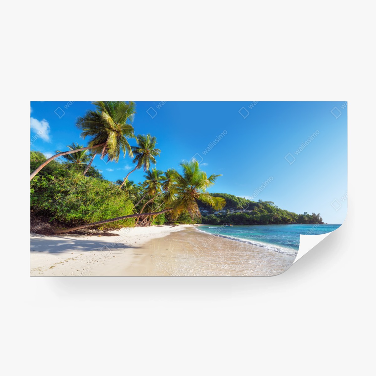 Fototapete tropischer palmstrand – Wallnifity®