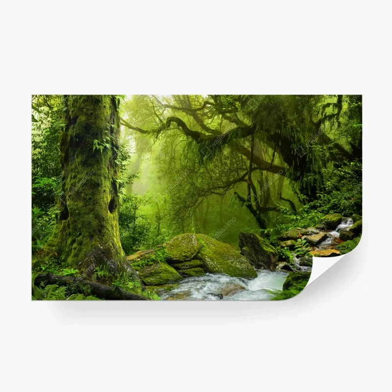 Fototapete verzauberter grüner waldbach