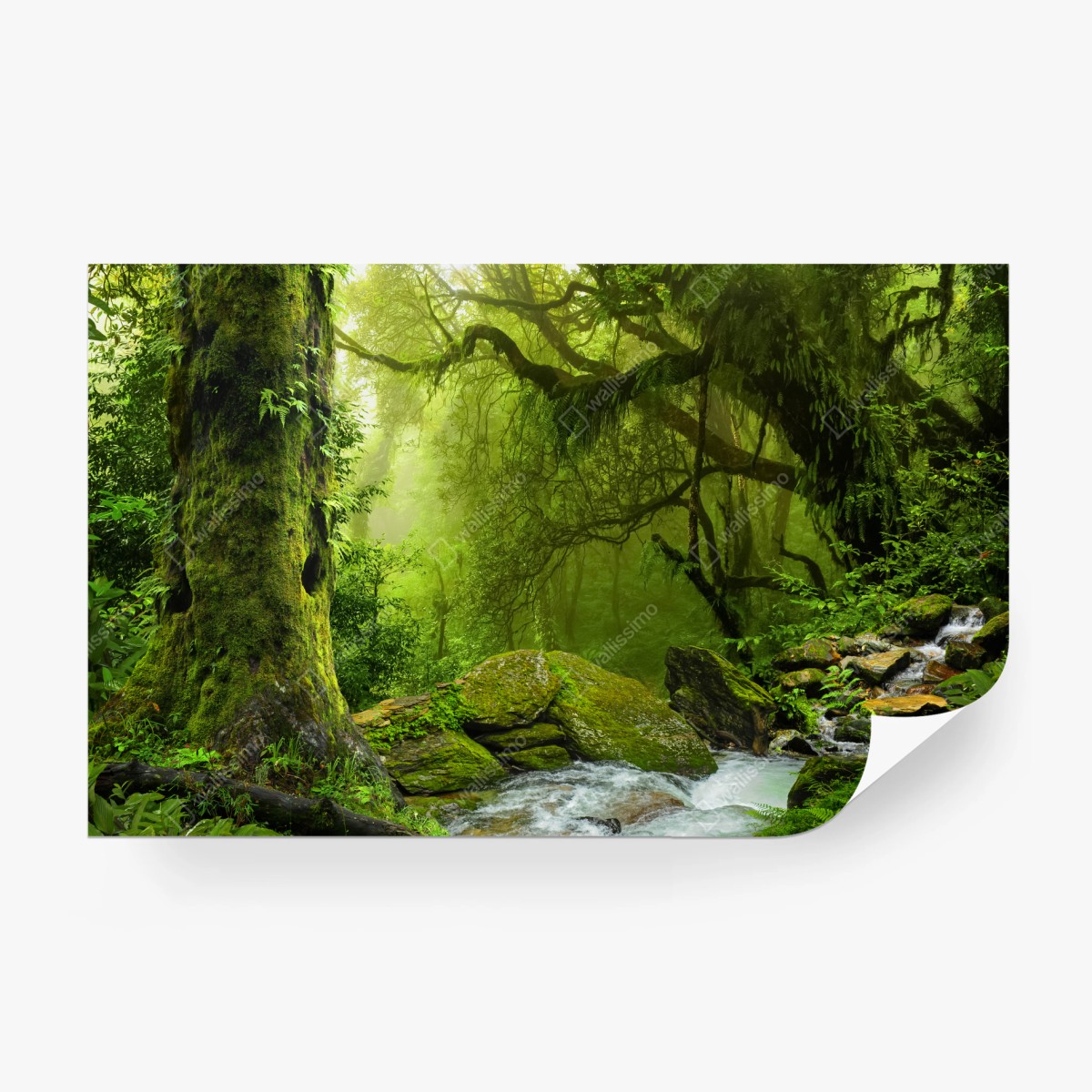 Fototapete verzauberter grüner waldbach – Wallnifity®