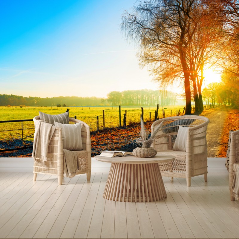 Fototapete sonnenbeschienener landweg durch herbstliche wiese – Wallnifity®