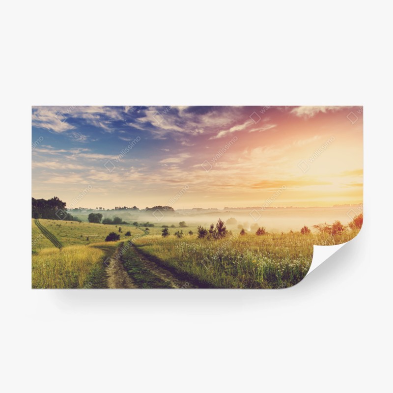 Fototapete abstraktes marmoriertes bild in türkis und lila mit gold – Wallnifity®