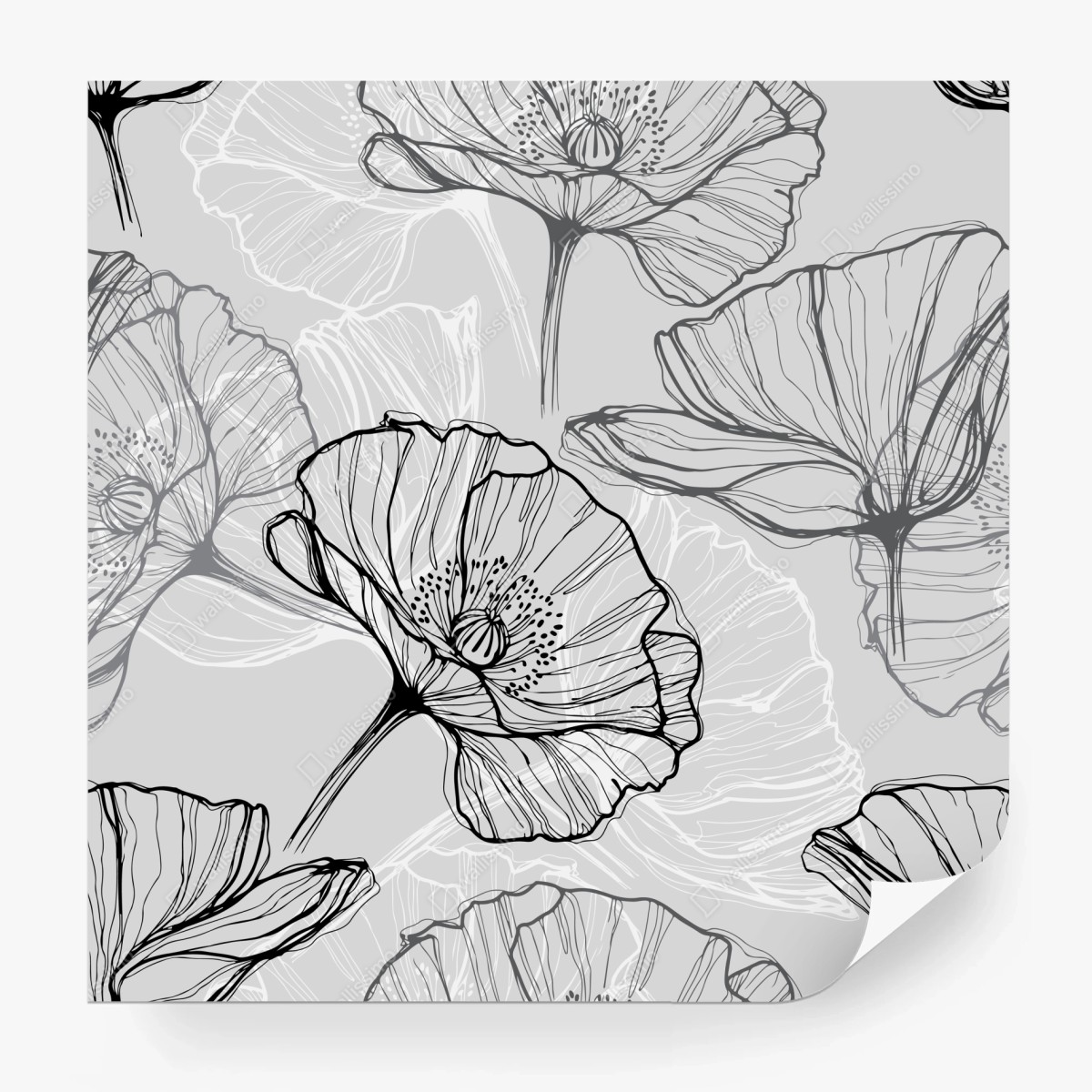 Fototapete zarter grauer mohn in linienzeichnung – Wallnifity®