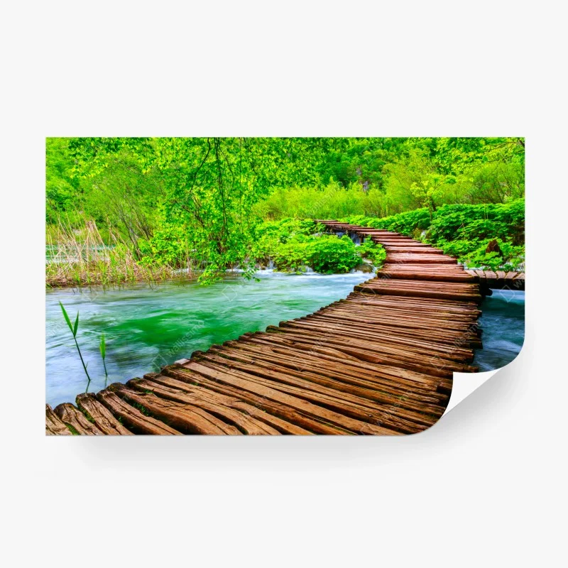 Fototapete ruhiger grüner steg über dem fluss