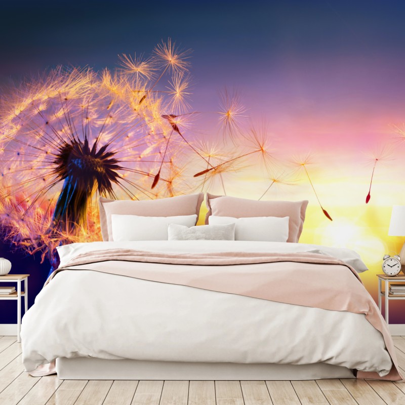 Fototapete goldener löwenzahn bei sonnenuntergang – Wallnifity®