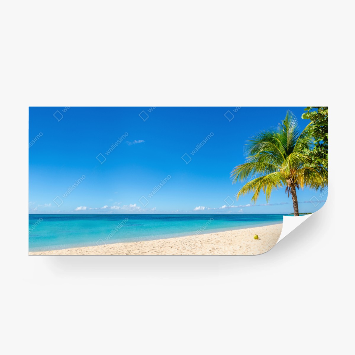 Fototapete tropischer strand mit türkiswasser und palme – Wallnifity®