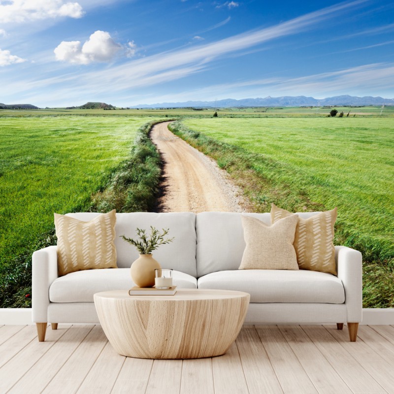 Fototapete gewundener landweg durch grüne wiesen – Wallnifity®