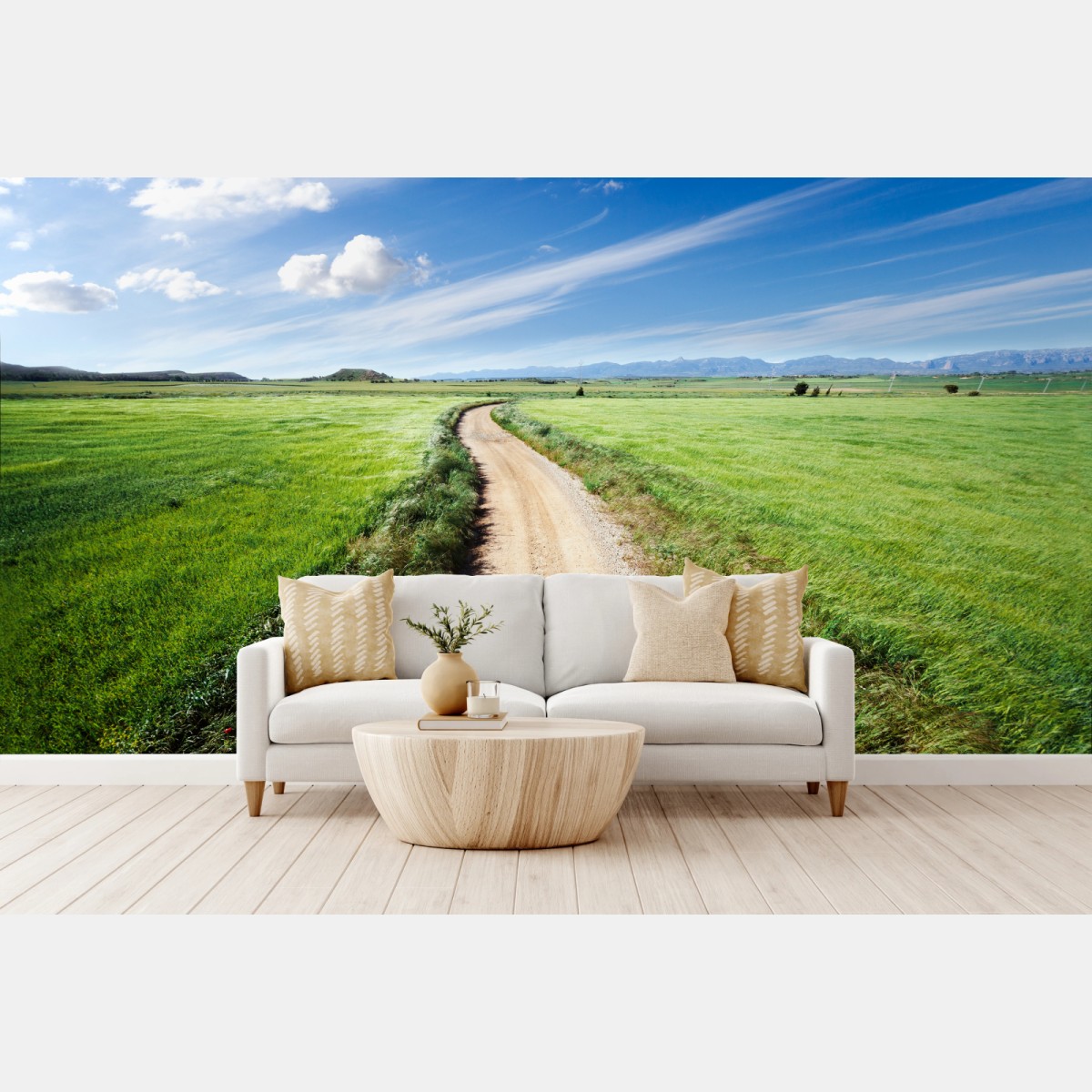 Fototapete gewundener landweg durch grüne wiesen – Wallnifity®