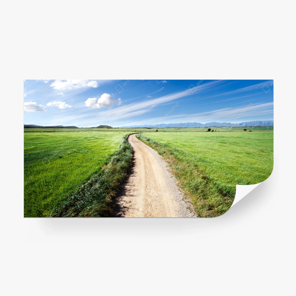 Fototapete gewundener landweg durch grüne wiesen – Wallnifity®