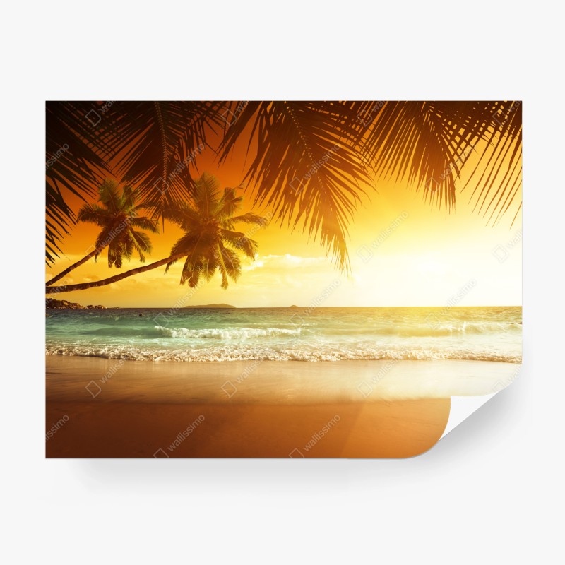 Fototapete Rotterdam Erasmusbrücke bei dämmerung – Wallnifity®