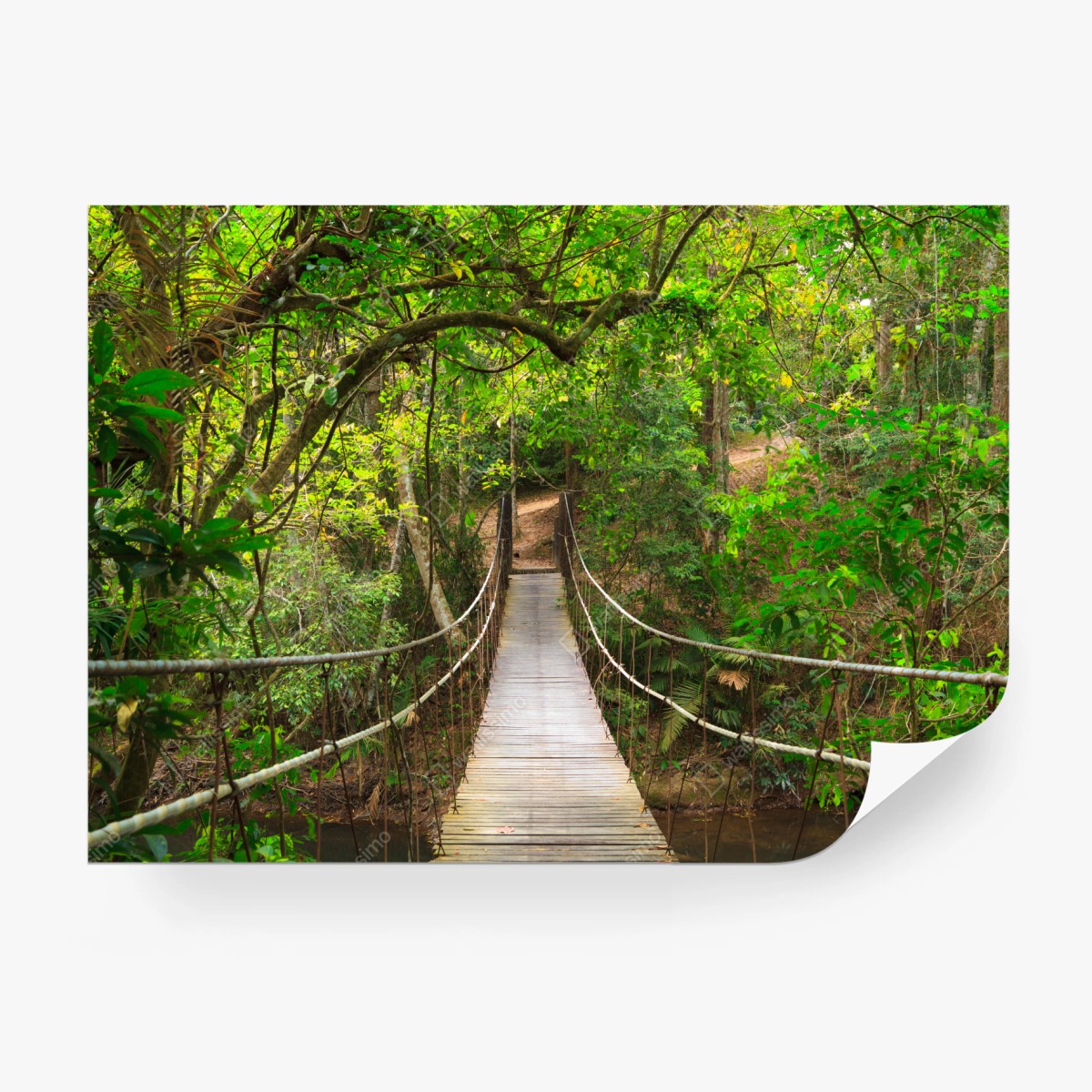 Fototapete hängende holzbrücke im grünen wald – Wallnifity®