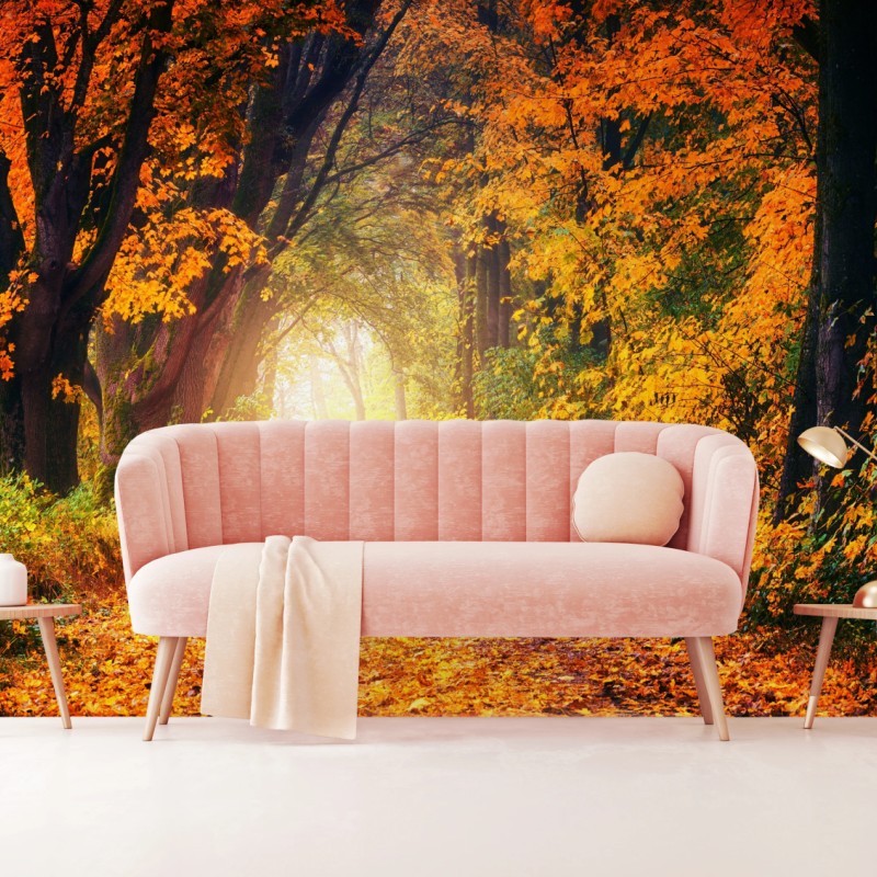 Fototapete herbstlicher waldpfad im goldenen licht – Wallnifity®