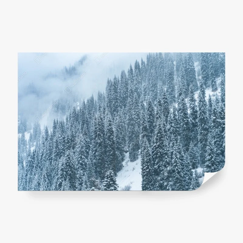 Fototapete nebeliger schneebedeckter kiefernwald