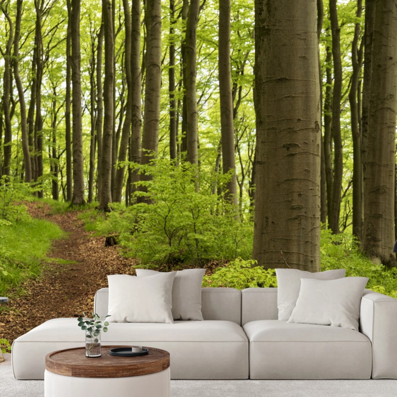 Fototapete ruhiger grüner waldweg – Wallnifity®