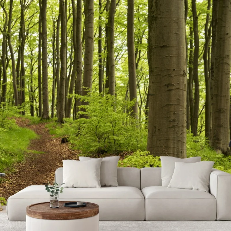 Fototapete ruhiger grüner waldweg – Wallnifity®