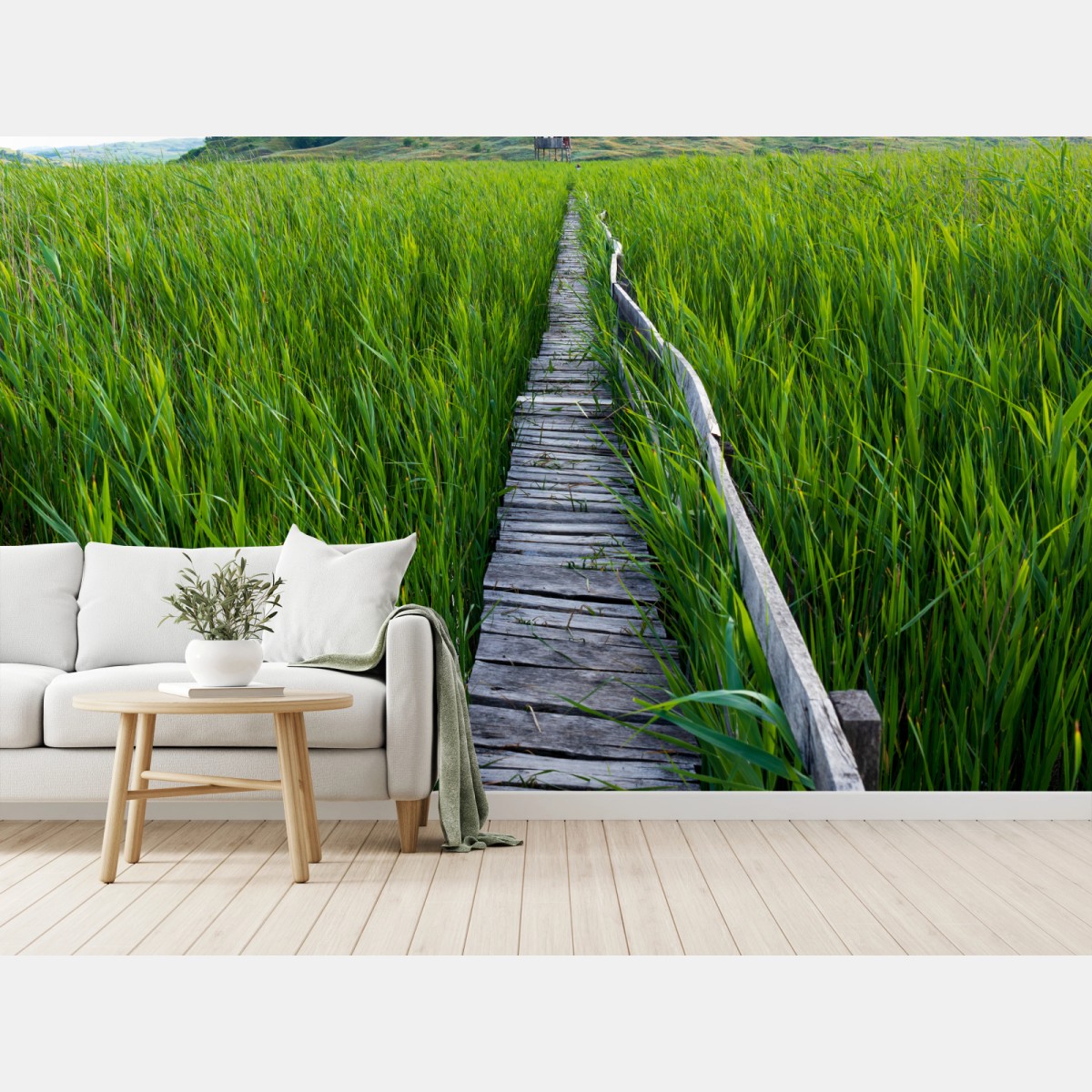 Fototapete ruhiger grüner steg durch schilfland zur rustikalen hütte – Wallnifity®