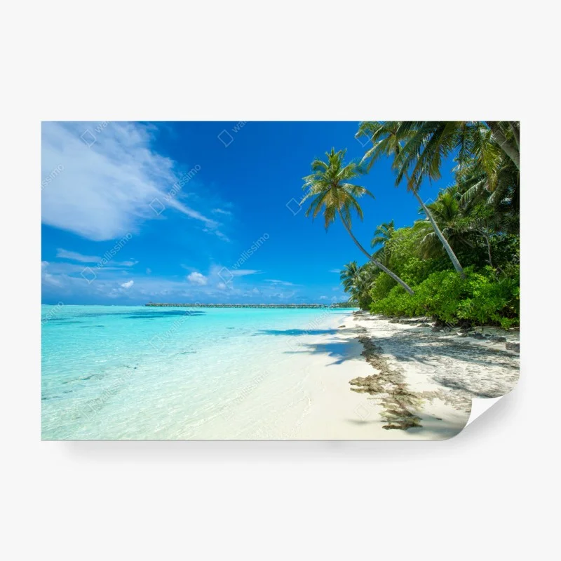 Fototapete tropischer strand auf den Malediven