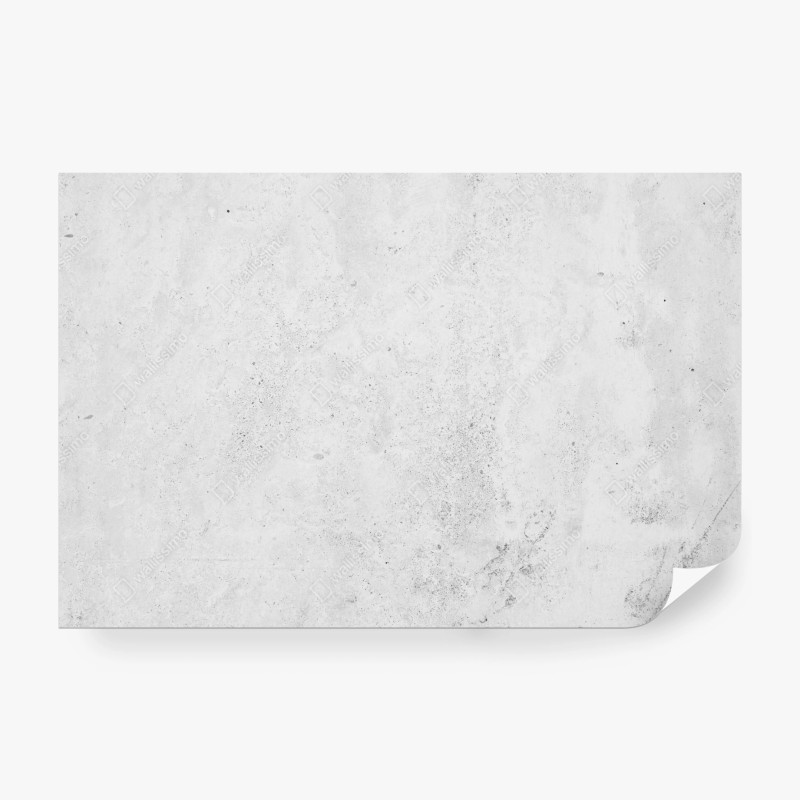 Fototapete türkis birkenwald mit vögeln – Wallnifity®