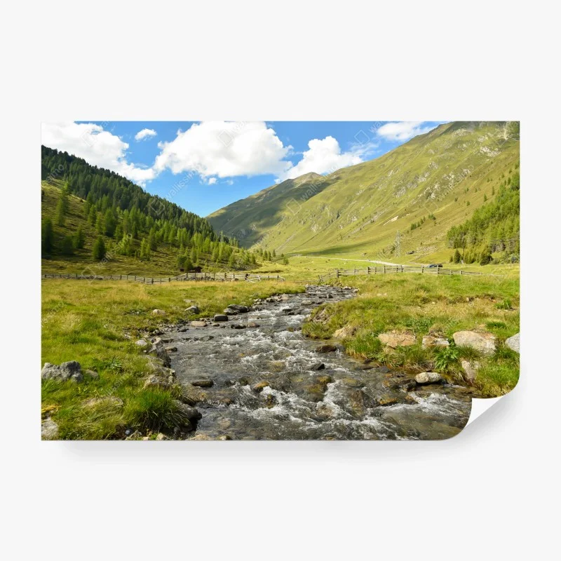 Fototapete alpenbach im sonnigen tal