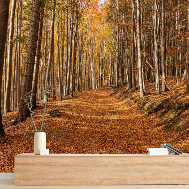 Fototapete herbstlicher waldweg mit goldenen blättern – Wallnifity®