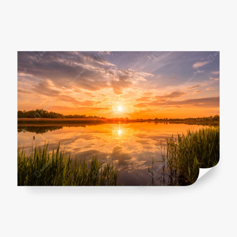 Fototapete rosa herzen schachbrettmuster – Wallnifity®