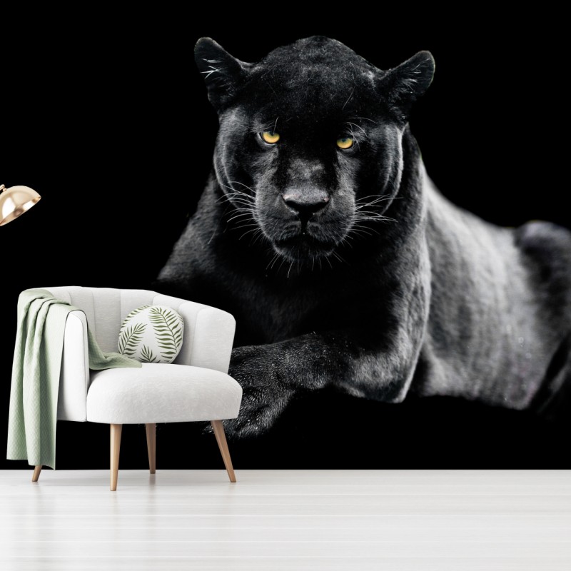 Fototapete porträt eines schwarzen panthers vor schwarzem hintergrund – Wallnifity®