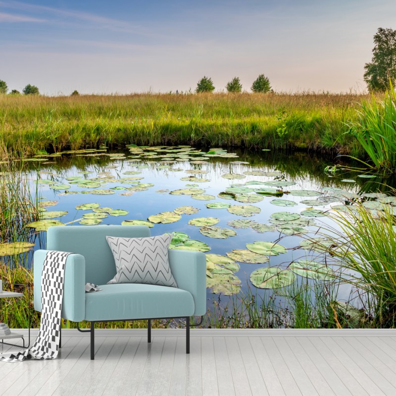 Fototapete ruhiger seerosen-teich in der wiese – Wallnifity®