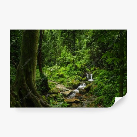 Fototapete üppiger grüner waldwasserfall – Wallnifity®