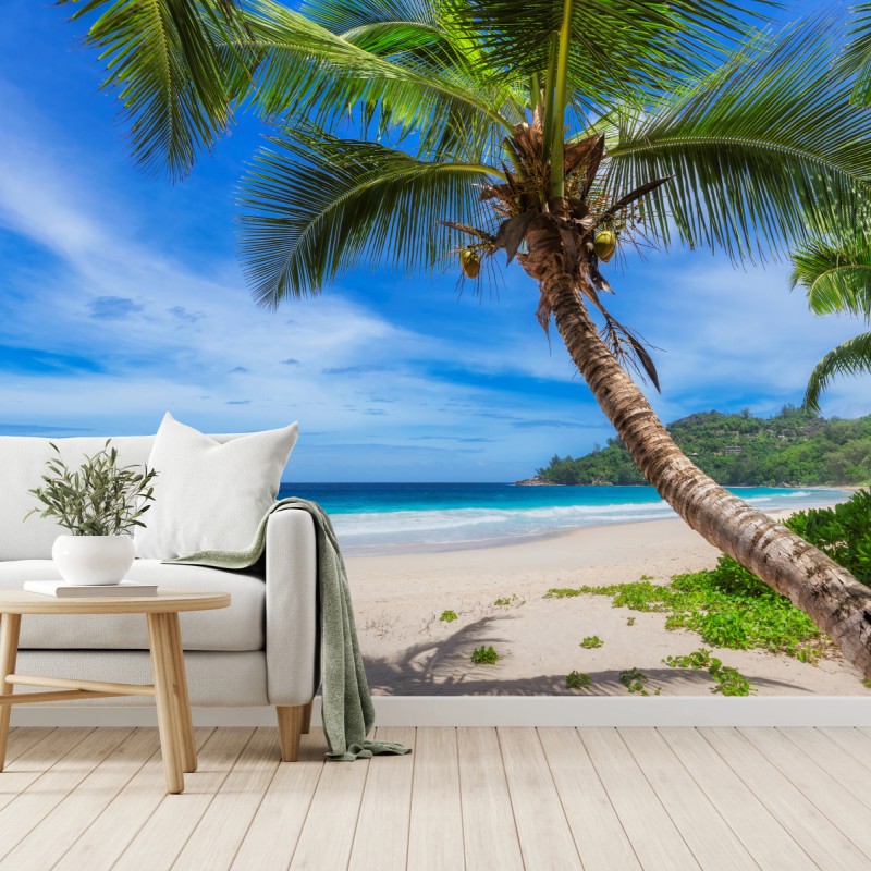 Fototapete tropischer strand mit palme – Wallnifity®