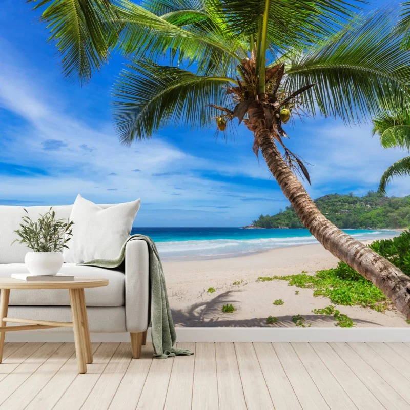 Fototapete tropischer strand mit palme