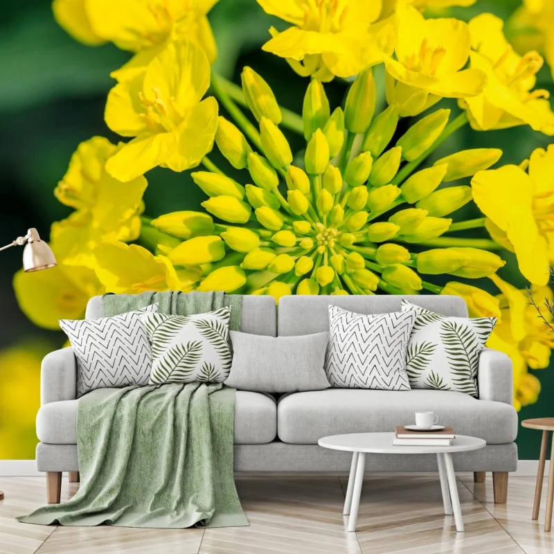 Fototapete lebhafte gelbe rapsblüte im nahen makro – Wallnifity®