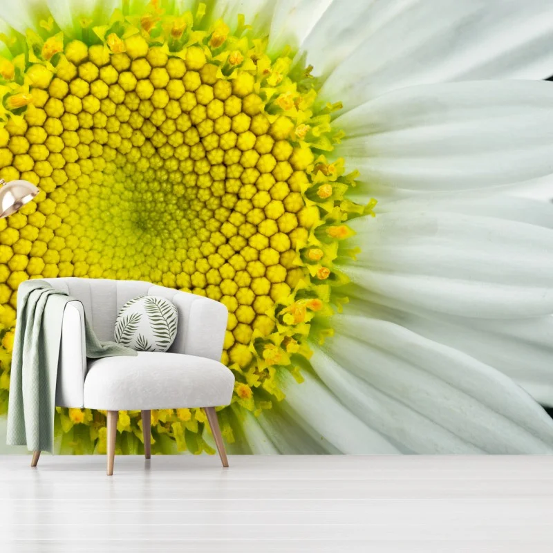 Fototapete makro gänseblümchen spiralmuster – Wallnifity®