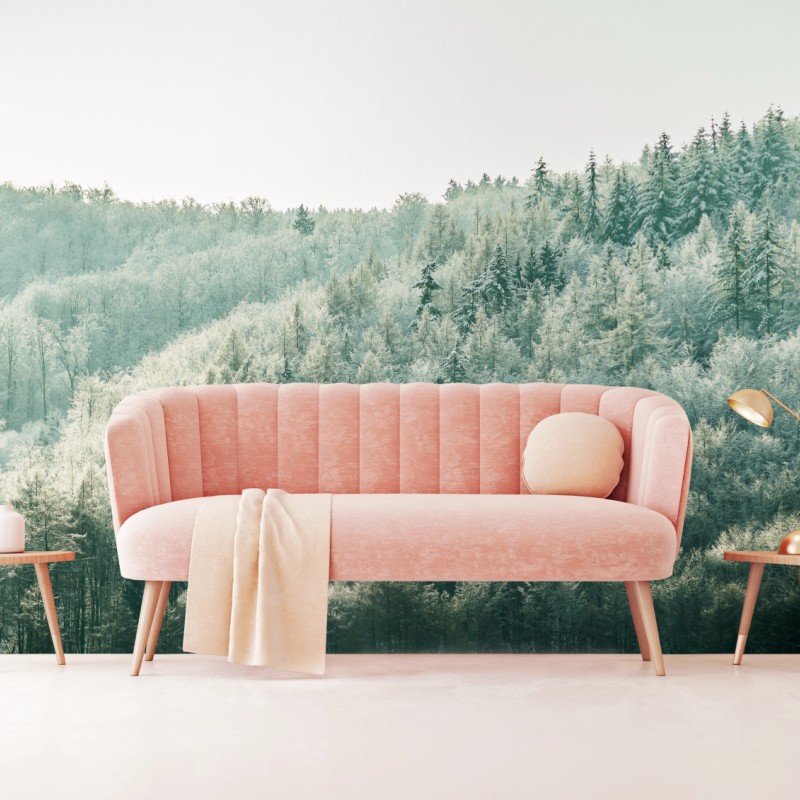 Fototapete nebliger reifbedeckter wald – Wallnifity®