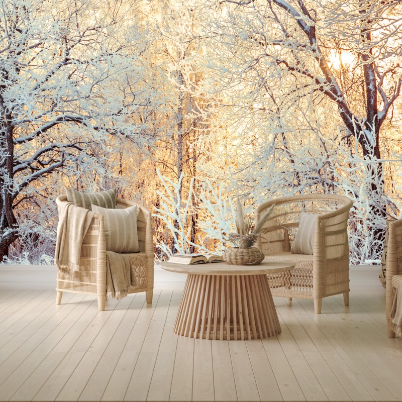 Fototapete wintersonne im verschneiten wald – Wallnifity®