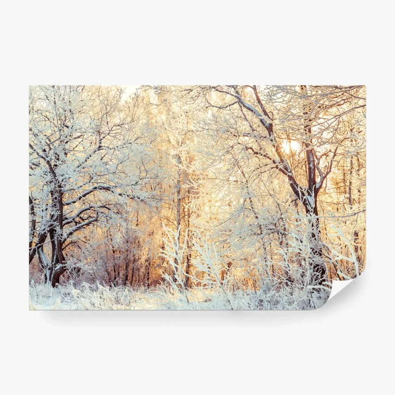 Fototapete wintersonne im verschneiten wald