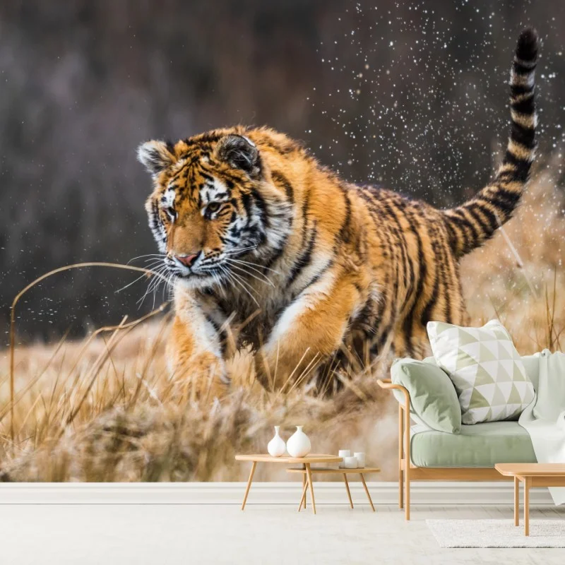 Fototapete sibirischer tiger in bewegung
