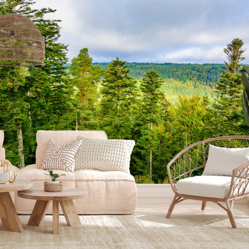 Fototapete Schwarzwald herbstliche waldlandschaft – Wallnifity®