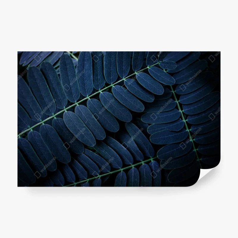 Fototapete tiefblaues blattmuster – Wallnifity® Fototapete tiefblaues blattmuster – Wallnifity®