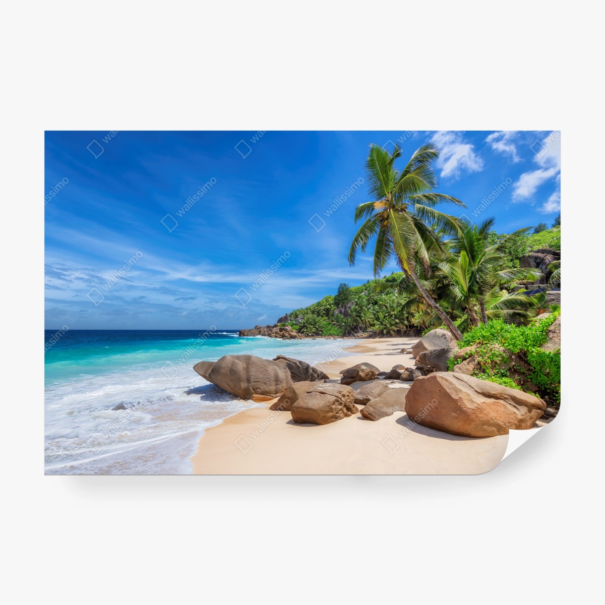 Fototapete tropischer palmenstrand – Wallnifity®