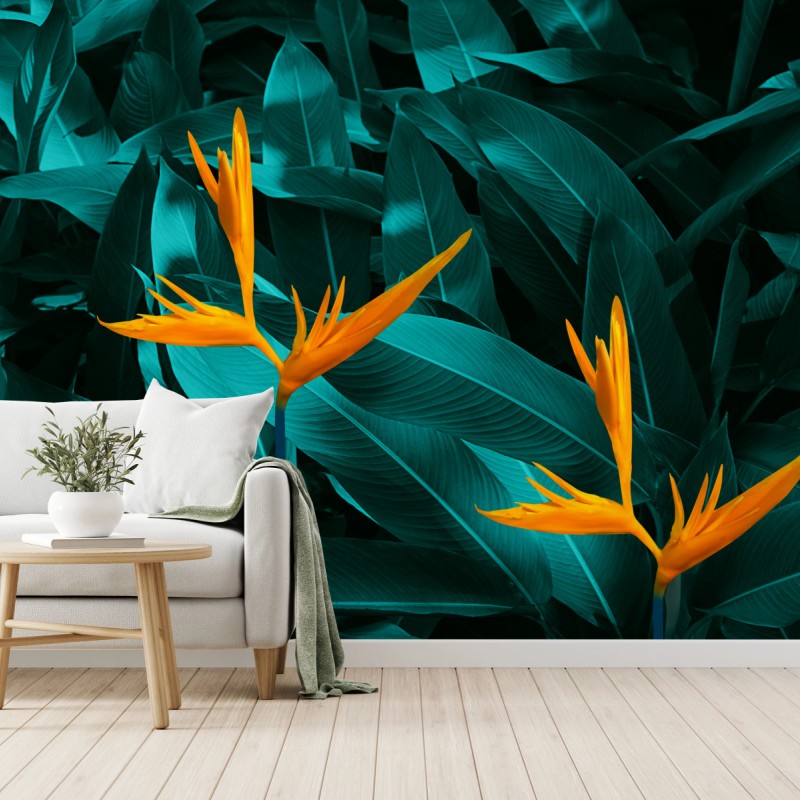 Fototapete tropische strelitzie auf türkisfarbenen blättern – Wallnifity®