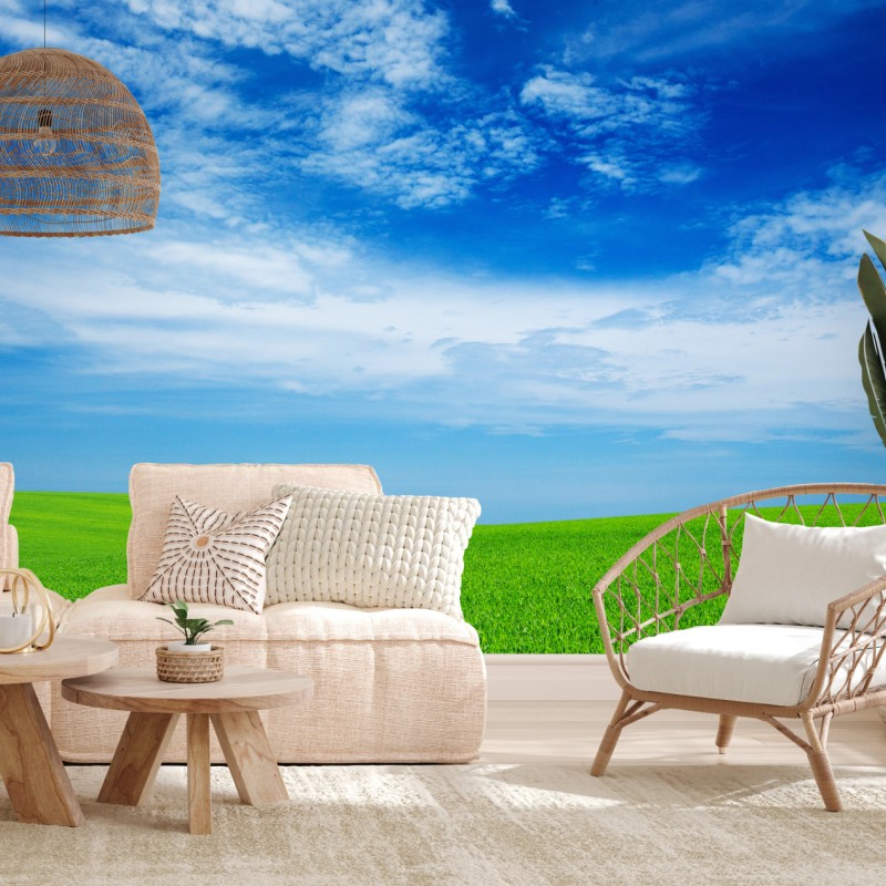 Fototapete grüne wiese unter blauem himmel – Wallnifity®