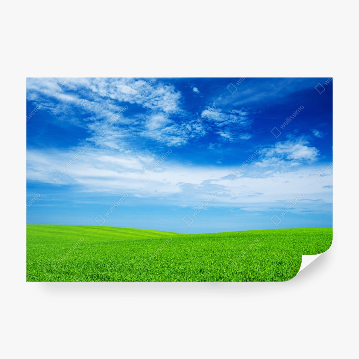 Fototapete grüne wiese unter blauem himmel – Wallnifity®