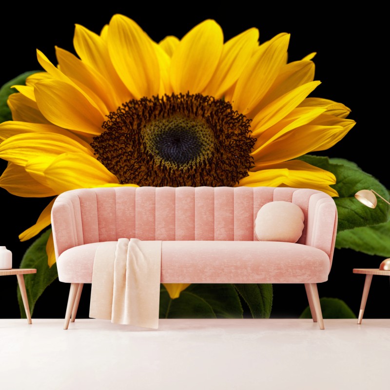 Fototapete leuchtende sonnenblume auf schwarzem hintergrund – Wallnifity®