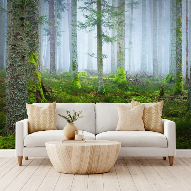 Fototapete nebliger kiefernwald aus dem Elsass – Wallnifity®