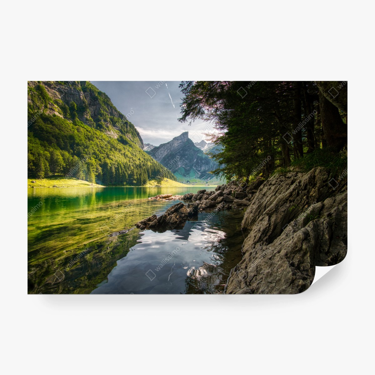Fototapete ruhiger bergsee mit spiegelungen im wald – Wallnifity®