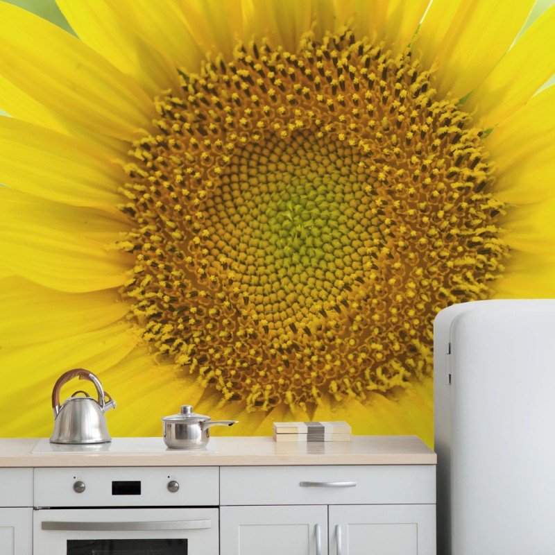 Fototapete leuchtende nahaufnahme sonnenblume – Wallnifity®