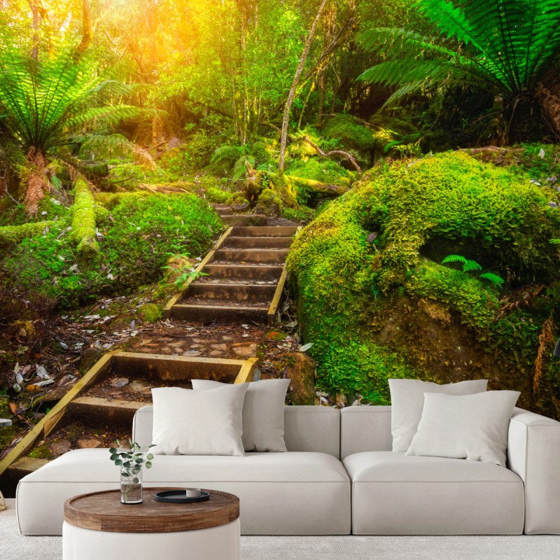 Fototapete moosiger regenwaldpfad auf der Tasman-Halbinsel – Wallnifity®