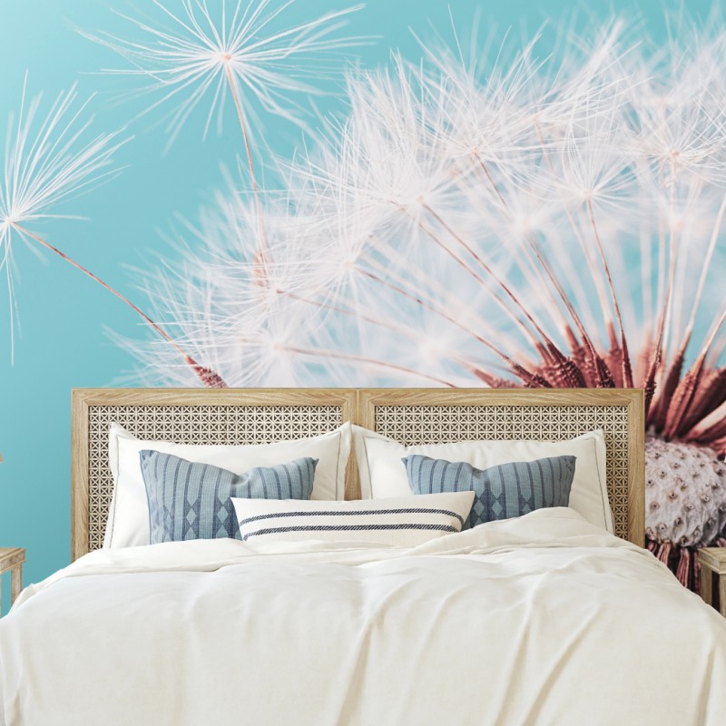 Fototapete zarter löwenzahn vor türkisfarbenem hintergrund – Wallnifity®