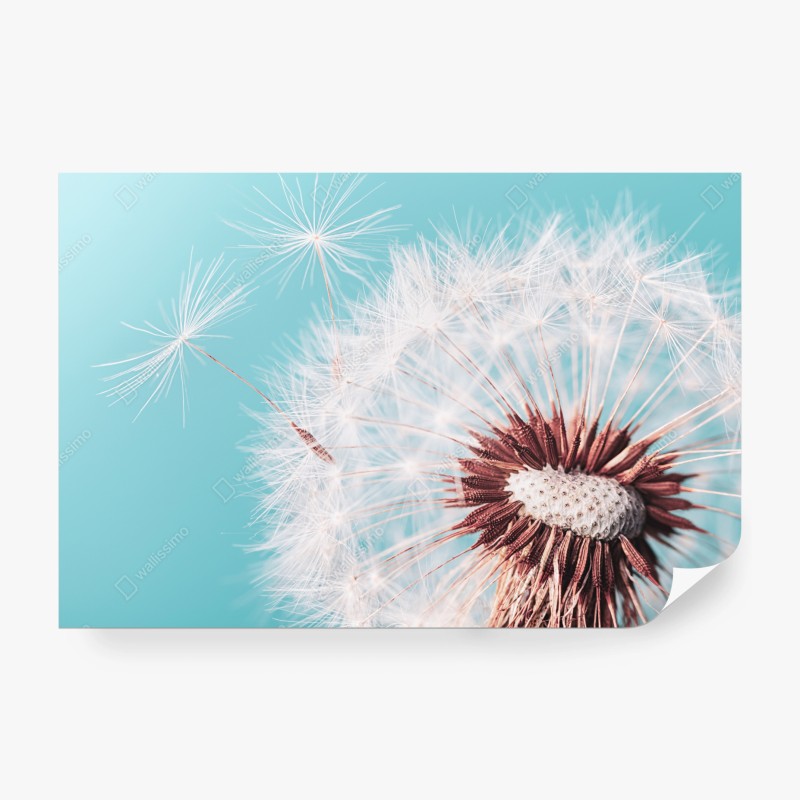 Fototapete lebendiger tulpengarten in Keukenhof – Wallnifity®